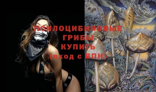 герыч Аркадак