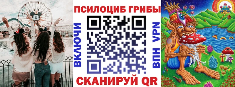 Псилоцибиновые грибы Psilocybe  цены наркотик  Дмитров 