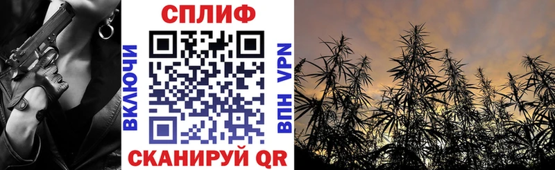 даркнет сайт Дмитров Каннабис индика